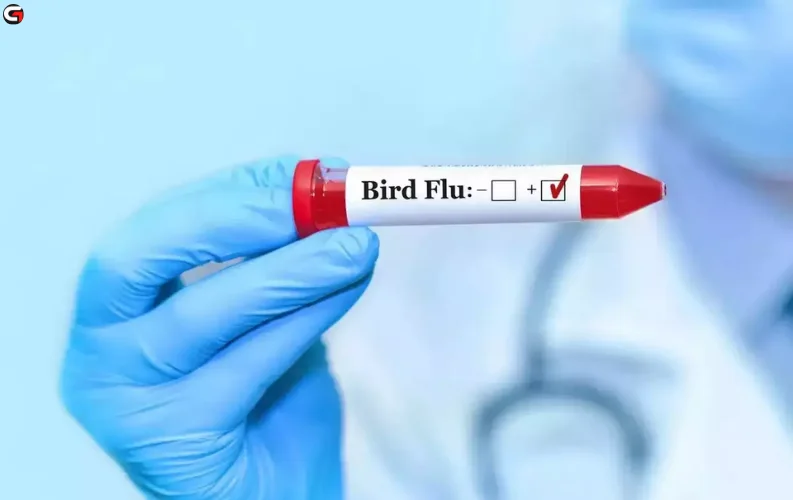 First Human Death from Bird Flu in US Sparks Concerns Among Experts