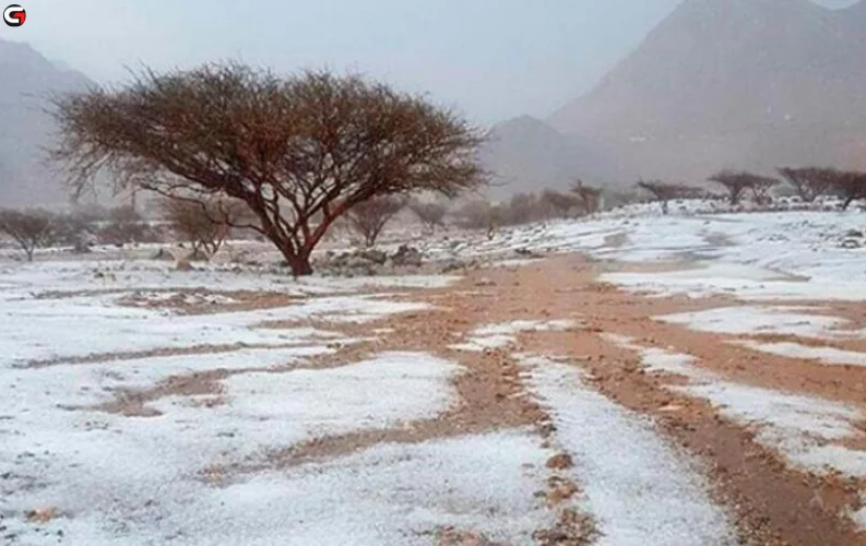 ‘It’s Like Snow’: UAE Residents Chase Ice and Freezing Temperatures in Al Ain and RAK