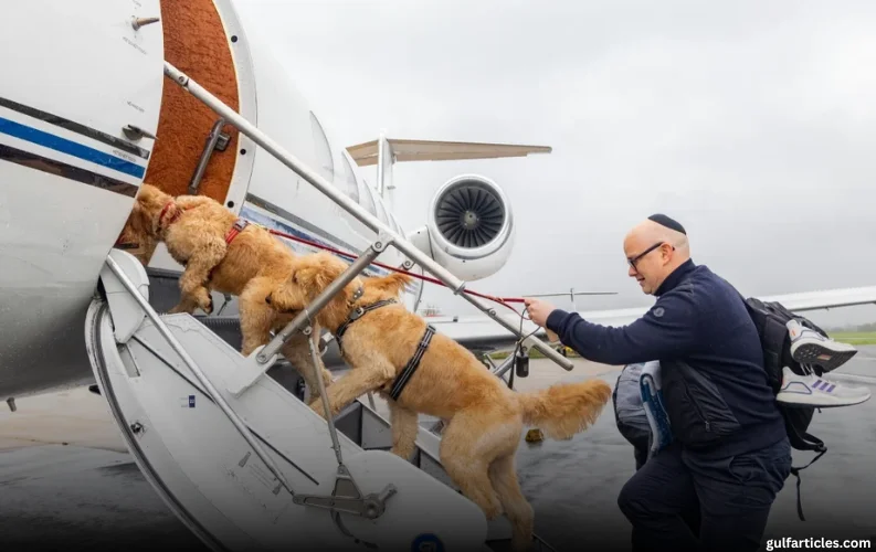 UAE: Pet Travel Becomes the New Frontier of Luxury Aviation